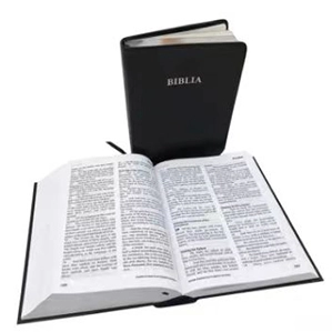 bible on black paper