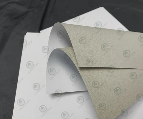 Avantages et mises à niveau environnementales du panneau duplex enduit avec dos gris