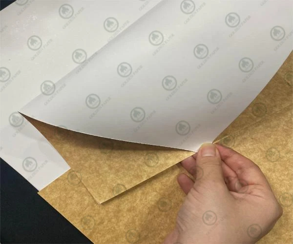 Comment choisir l'emballage de carton le plus approprié?