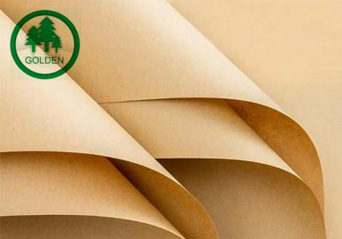 Lignes directrices pour la sélection de papier à base de papier résistant à la graisse de haute qualité