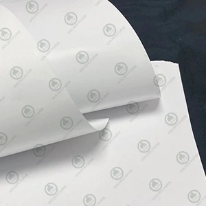 Poids léger Papier Enduit