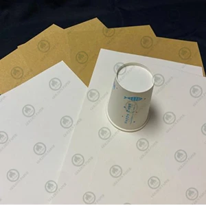 Papier de base Cupstock non couché
