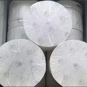 Papier de tissu facial