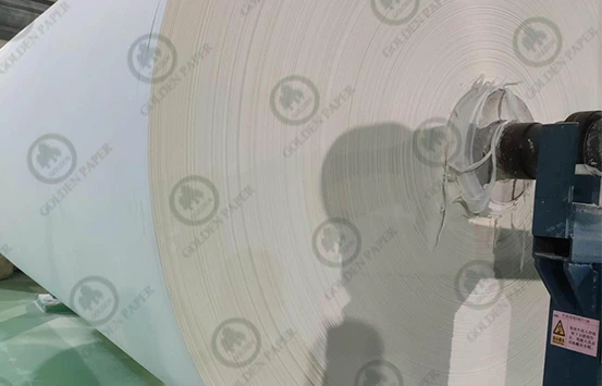 La China Paper Industry Association annonce une nouvelle initiative de papier durable