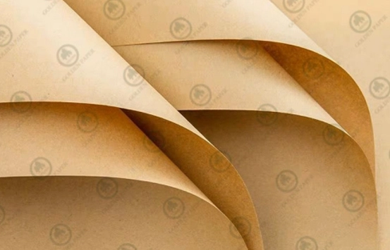 Golden Paper lance une nouvelle ligne de papier kraft écologique, ouvre la voie aux solutions d'emballage durables