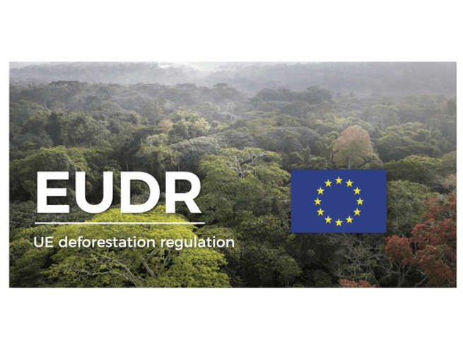Loi de l'UE sur la déforestation: le Parlement veut donner un an de plus aux entreprises pour se conformer