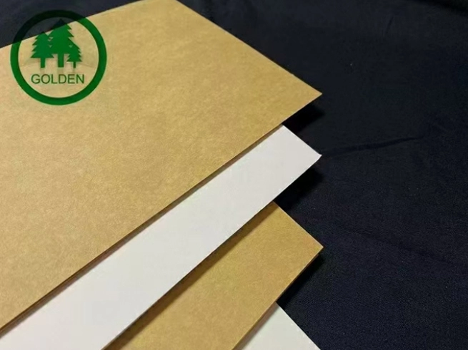 ''Le remplacement du plastique par du papier'' entraîne une nouvelle demande et les entreprises de papier accélèrent la disposition de la capacité de production de papier spécialisé