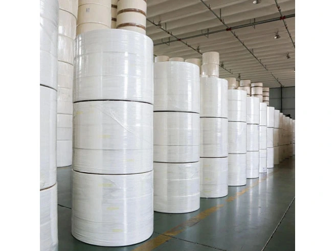 Rapport mondial sur le marché du papier toilette: tendances clés et prévisions de croissance