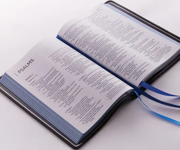 Qu'est-ce que le papier de la Bible?