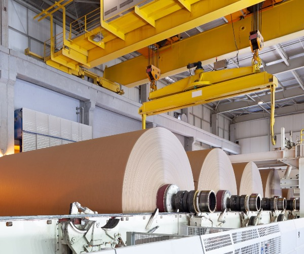 Quelles sont les matières premières utilisées dans la fabrication du papier?