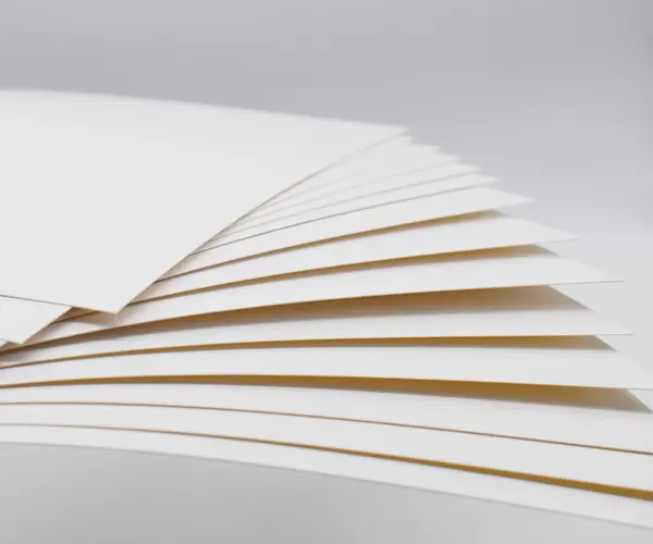 Sulfate blanchi solide (SBS) vs boîte pliante (FBB): quelle est la différence dans l'emballage du carton?