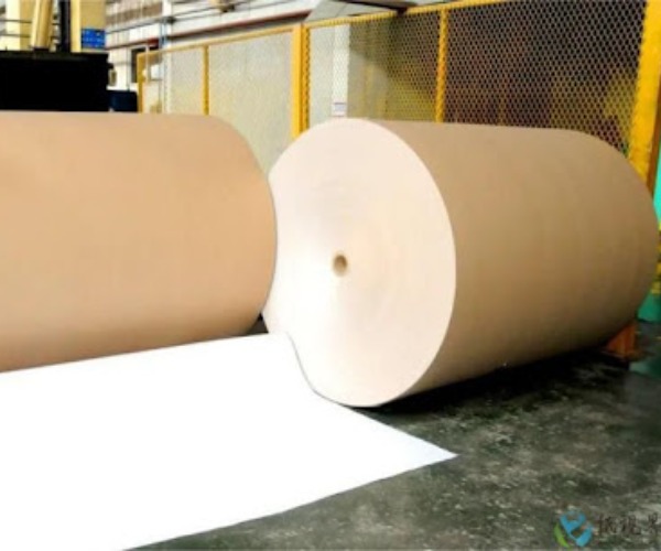 IMG_202508083527_600x500.jpg IMG_202508083527_600x500.jpg