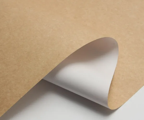 Pourquoi CKB devient de plus en plus populaire