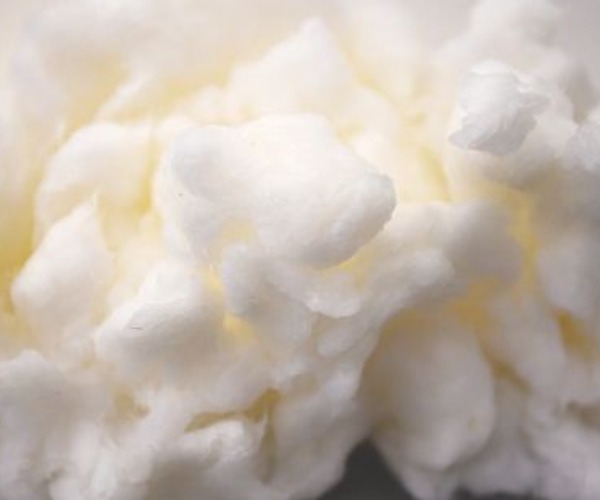 IMG_202508156215_600x500.jpg IMG_202508156215_600x500.jpg