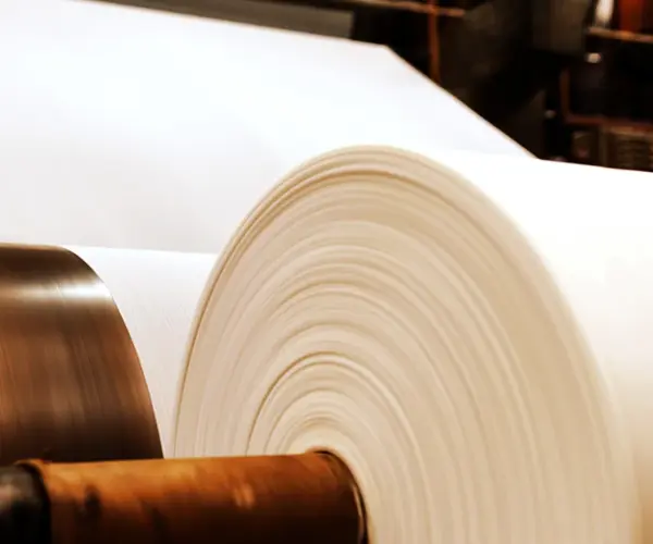 Quelle est la différence entre la pâte et le papier?