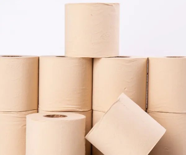 Système d'approvisionnement en pâte de bambou et de contrôle de la qualité