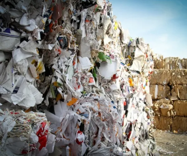 Caractéristiques des fibres de pulpe recyclée