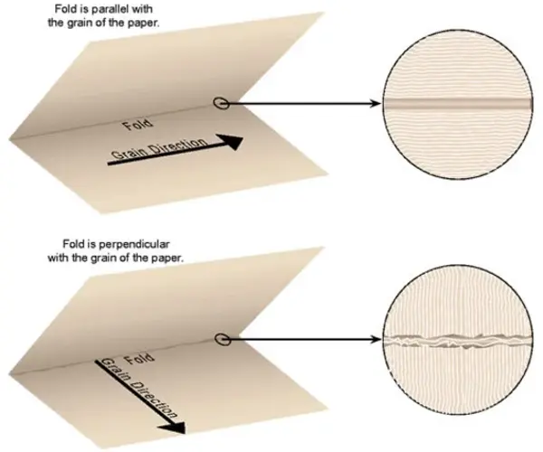 graindirection-3_600x500.webp graindirection-3_600x500.webp