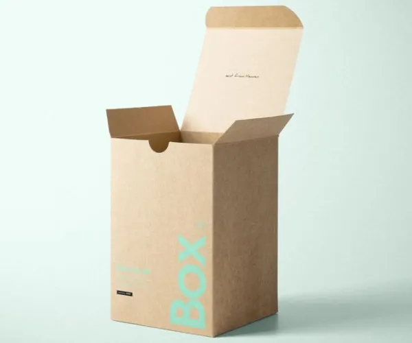 Kraft Paper vs Duplex Board: Comprendre les principales différences